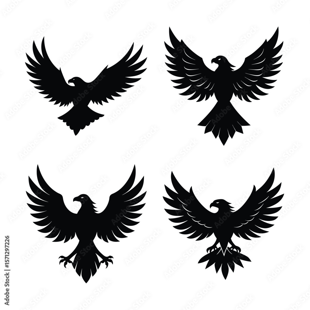 Obraz premium Eagle Bundile