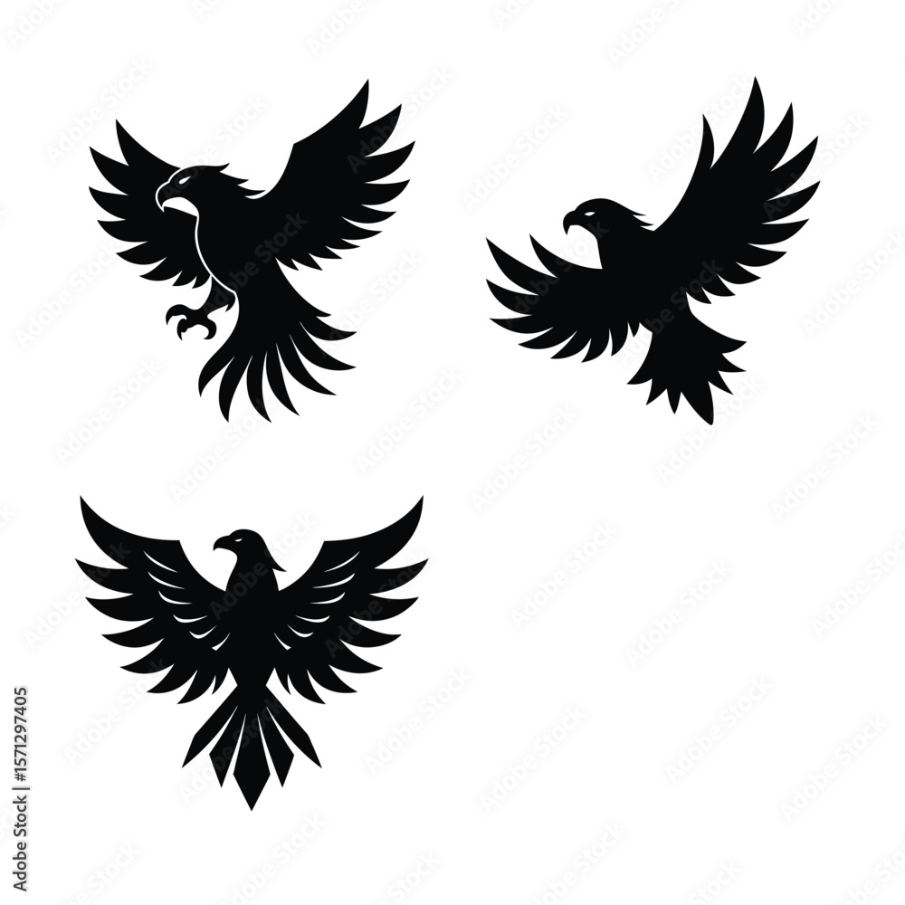 Obraz premium Eagle Bundile