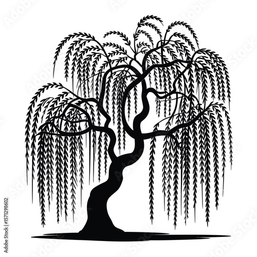 Elegant black silhouette of a weeping willow tree with cascading branches and leaves