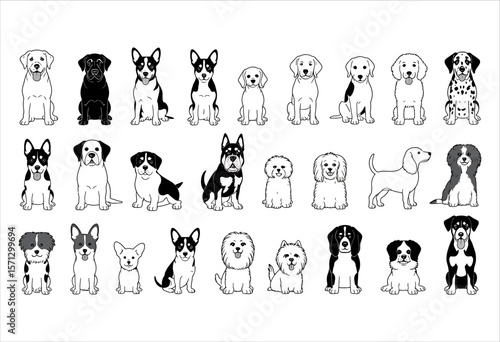 Collection of Various Dog Breeds Sitting or Standing, Featuring Black and White Outlines of Popular Canine Pets