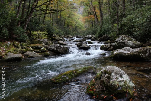Twenty Mile Creek near its origin in the Smoky Mountains