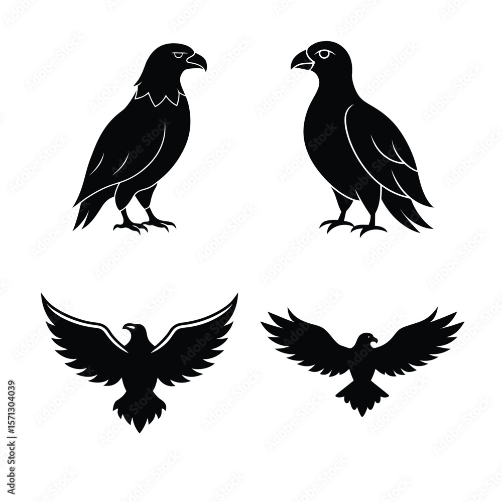 Fototapeta premium silhouette eagle 