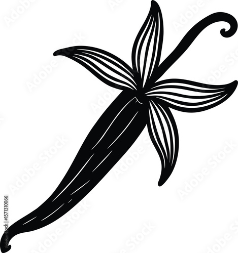 vanilla bean on white background.eps