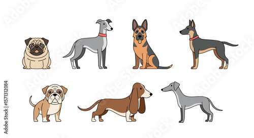 A collection of diverse dog breeds posed for display showing different body types and styles
