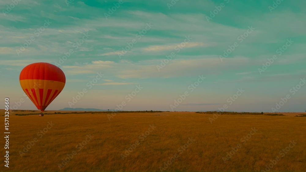 Obraz premium hot air balloon