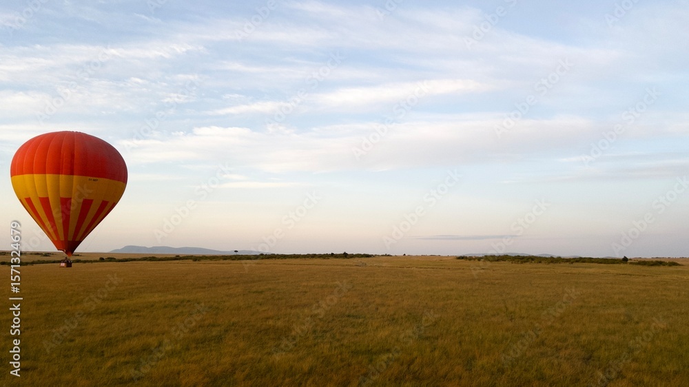Obraz premium hot air balloon