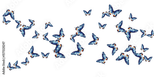 Adobe Illustrator Artwork