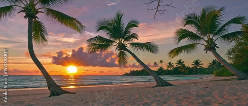 Time-lapse of a colorful sunrise over a tropical beach with palm trees and moving clouds.