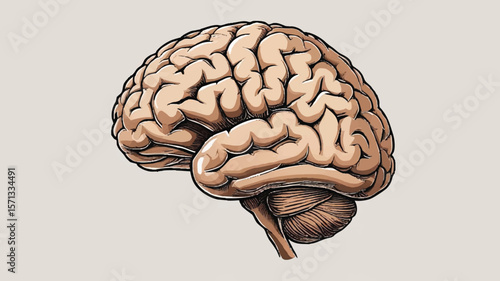 Human Brain Vector Illustration—Abstract Neural Design in Flat Style