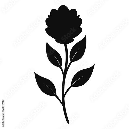 black and white heath flower