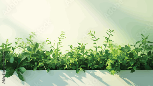 Lush green foliage with soft light green leaves plants