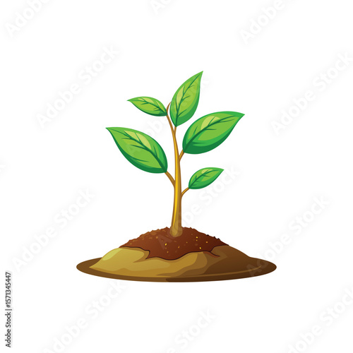 Spring Plant Growth from Disturbed Ground