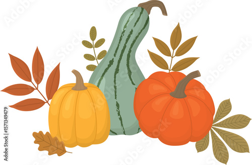 Autumn composition with leaves and pumpkins. Concept for Thanksgiving day isolated on white