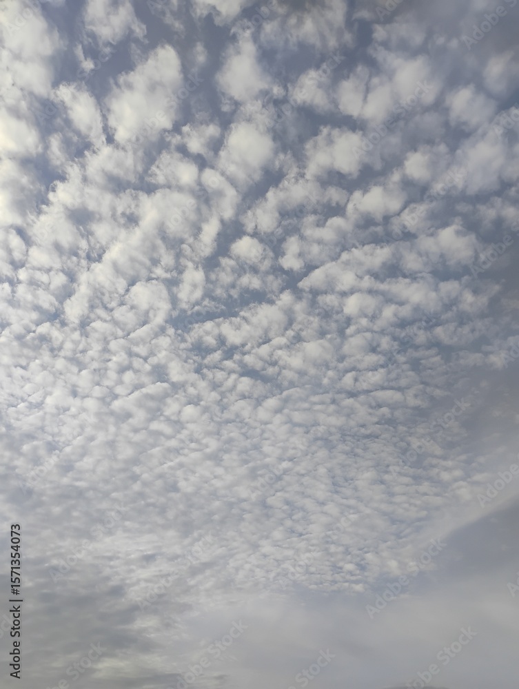 Fototapeta premium blue sky with clouds