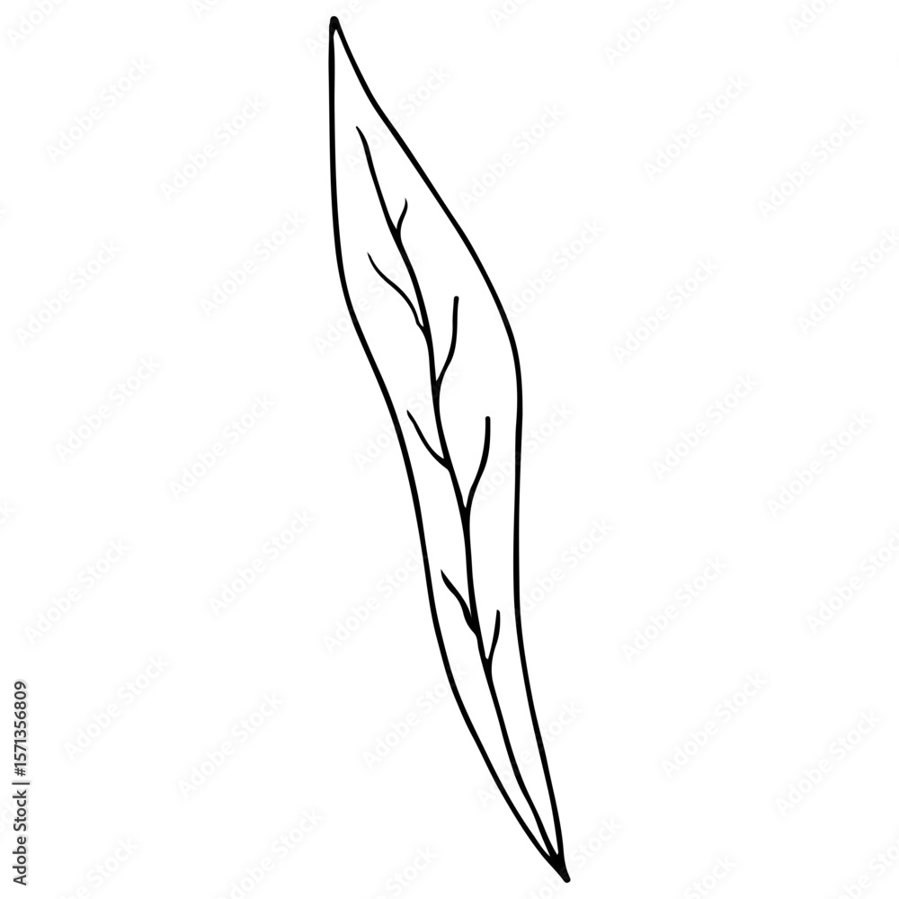 Fototapeta premium Minimalist black line drawing leaf, concept of nature.