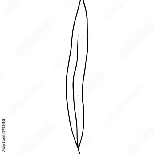 Minimalist black line drawing leaf, concept of nature.