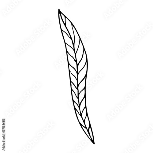 Minimalist black line drawing leaf, concept of nature.