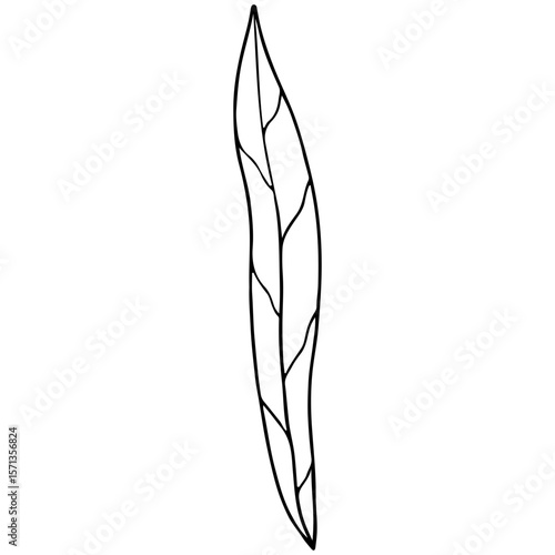 Minimalist black line drawing leaf, concept of nature.