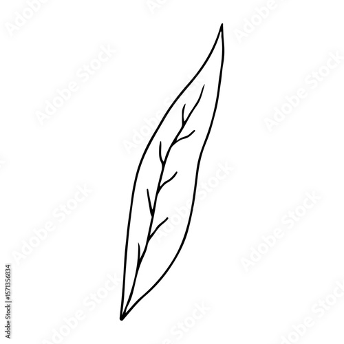 Minimalist black line drawing leaf, concept of nature.
