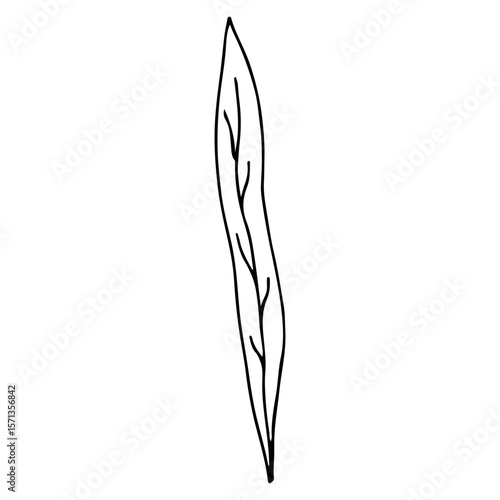 Minimalist black line drawing leaf, concept of nature.