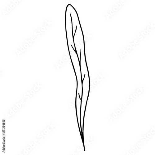 Minimalist black line drawing leaf, concept of nature.