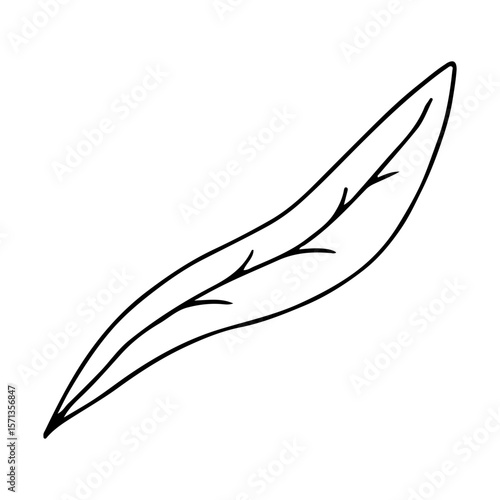 Minimalist black line drawing leaf, concept of nature.