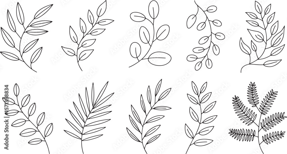 Fototapeta premium Delicate botanical line art featuring various leaf branches leaves
