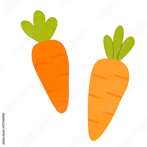 carrots vector illustration