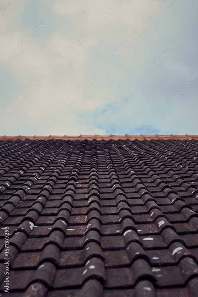 Fototapeta premium old roof tiles