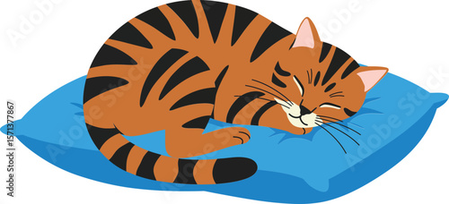 Sleeping brown tabby cat curled on blue pillow with peaceful expression calm scene