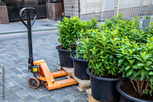 Orange pallet jack with green plants in pots on cobblestone courtyard