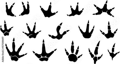 Dinosaur footprint tracks vector set
