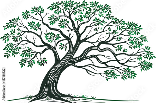This artistic illustration depicts a large, mature tree with a strong, winding trunk and a full canopy of lush green leaves.