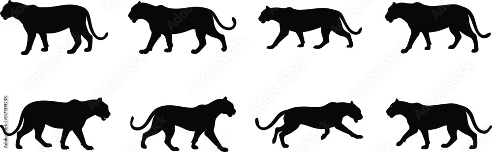 Obraz premium Panther Walk Cycle Silhouette Vector Illustration Set. Big Cat Silhouette Walking Cycle Animation Frames Set. 