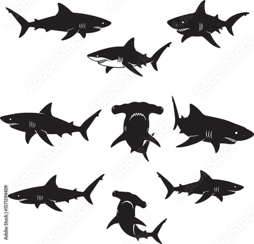 Diverse collection of shark silhouettes including hammerhead and great white sharks in various swimming poses