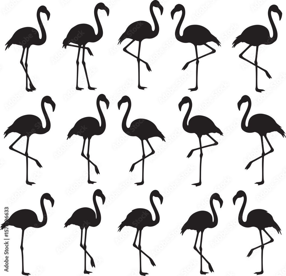Obraz premium Flamingo silhouettes set isolated on white background vector