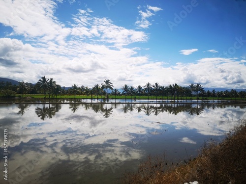 Foto lake and sky with palmes on a ricefield