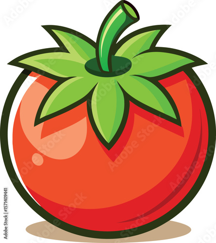 tomato vector illustration