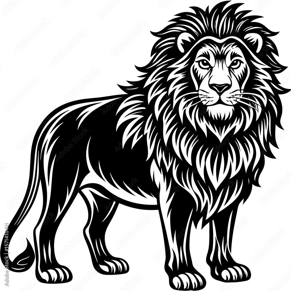 Naklejka premium lion vector illustration