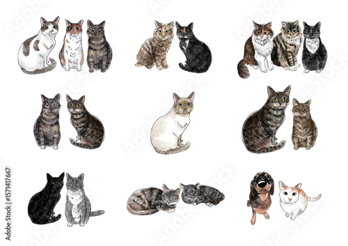 Animals Cat, Dog Watercolor Full Color Bundle Set
