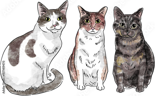 Watercolor Cat Dog Animals Artwork