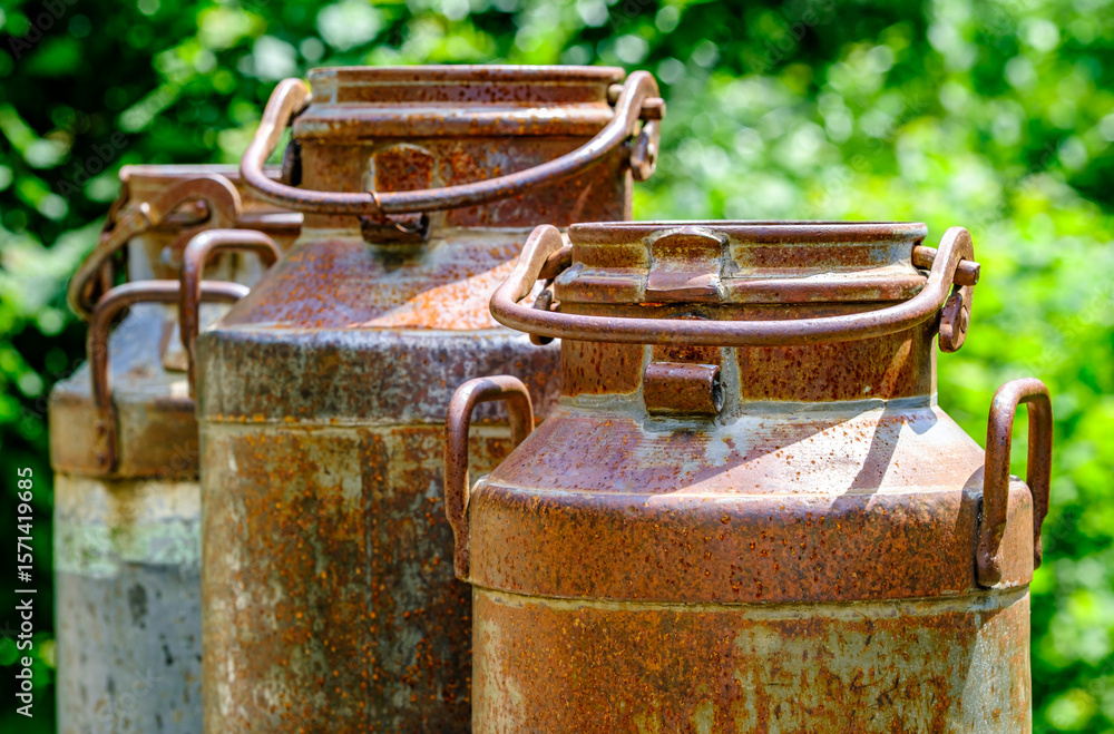 Fototapeta premium Rusted milk cans lined up on a wooden surface in a green forest during sunny daylight