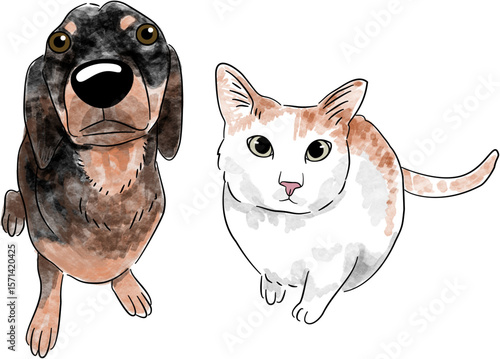 Watercolor Cat Dog Art Hand Drawn Style
