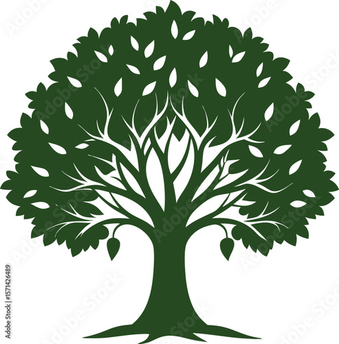 Walnut tree vector silhouette on white background 