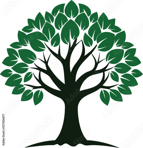 Walnut tree vector silhouette on white background 