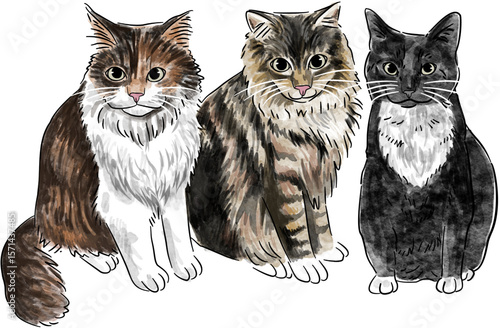 Full Color Cat Dog Hand Painted Sketch