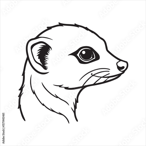 Standing Tall: The Curious and Clever World of Meerkats