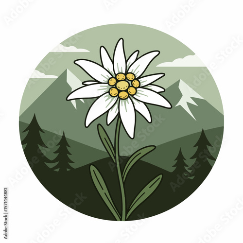 Edelweiss illustration with mountainous landscape for branding, representing a high quality visual effect. The edelweiss illustration showcases alpine nature,