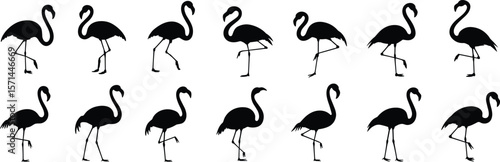 Flamingo silhouette vector, standing flamingos clipart, bird outline graphics, tropical birds, exotic animal, black flamingo art, elegant pose collection, printable wildlife design, minimalist decor