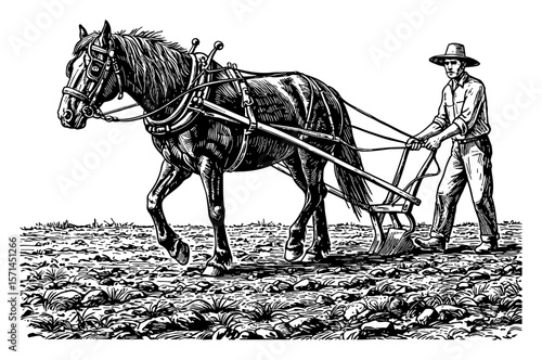 Historic Farmer Plowing Rural Field with Horse in Detailed Vintage Black and White Outline Line Art Drawing